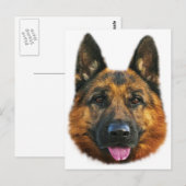 German Shepherd Alsatian K-9 Dog Briefkaart (Voorkant / Achterkant)