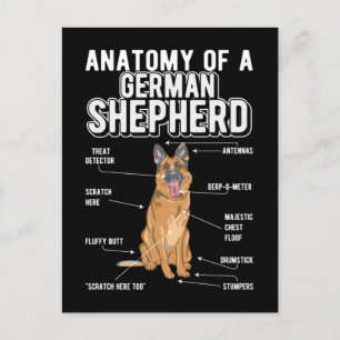 German Shepherd Anatomy Funny Dog Briefkaart