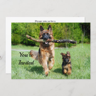 German Shepherd Birthday Kaart