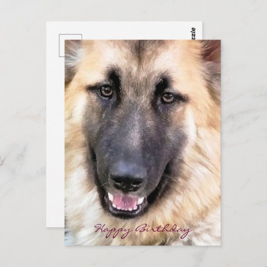 GERMAN SHEPHERD BRIEFKAART (Voorkant / Achterkant)