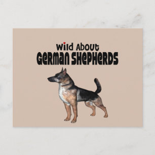 German Shepherd Briefkaart
