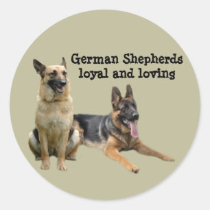German Shepherd Buddies Sticker