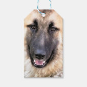 GERMAN SHEPHERD CADEAULABEL (Voorkant)
