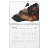 German Shepherd Calendar Kalender (Feb 2027)
