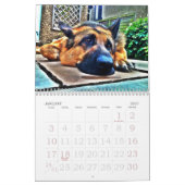 German Shepherd Calendar Kalender (Jan 2027)