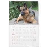 German Shepherd Calendar Kalender (Mar 2026)