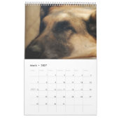 German Shepherd Calendar Kalender (Mar 2027)
