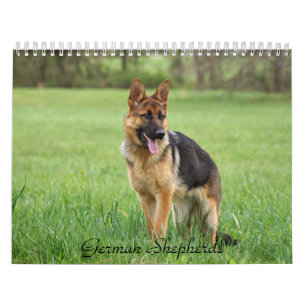 German Shepherd Calendar Kalender