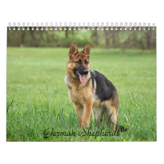 German Shepherd Calendar Kalender