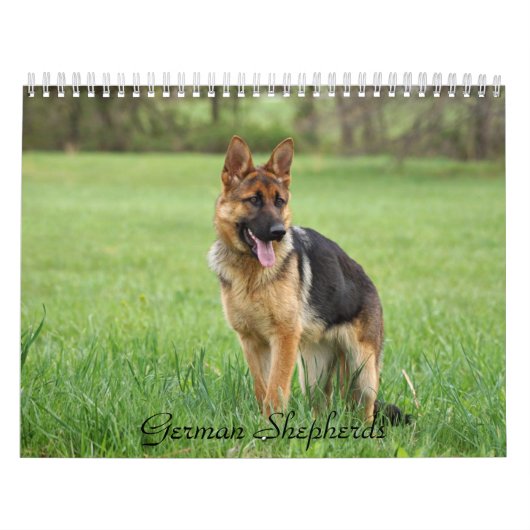 German Shepherd Calendar Kalender (Hoes)