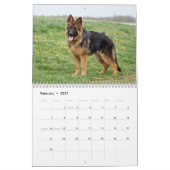 German Shepherd Calendar Kalender (Feb 2027)