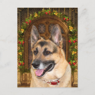 German Shepherd Christmas Feestdagenkaart