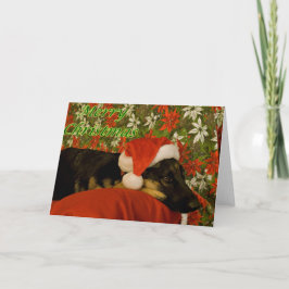 German Shepherd Christmas Kaart II