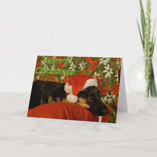 German Shepherd Christmas Kaart II (Voorkant)