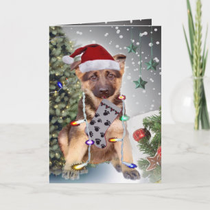German Shepherd Christmas Lights Feestdagen Kaart