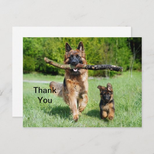 German Shepherd Dank je Briefkaart (Voorkant / Achterkant)