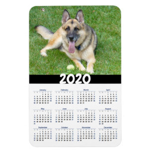 German Shepherd Dog 2020 Calendar Magnet Magneet