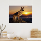 German Shepherd dog, Alsatian, in sunset Poster (Keuken)