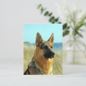 -German Shepherd Dog Briefkaart (Staand voorkant)