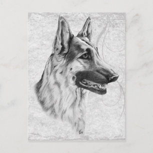 German Shepherd Dog Briefkaart