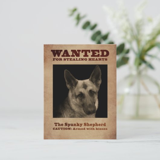 German Shepherd Dog Briefkaart (Staand voorkant)