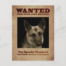 German Shepherd Dog Briefkaart