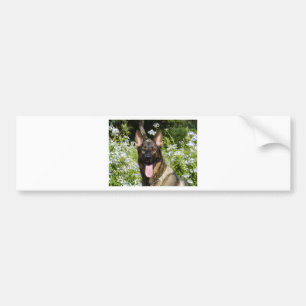 German Shepherd Dog Bumpersticker