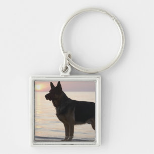 German Shepherd dog op Georgian Bay, Ontario, Sleutelhanger