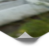 German Shepherd Dog Poster (Hoek)