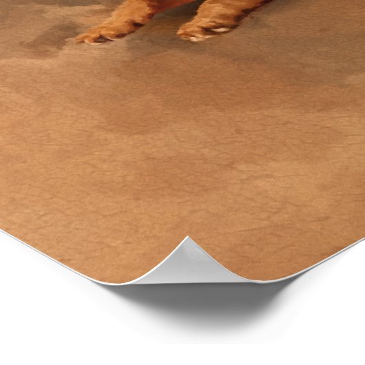 German Shepherd Dog - puppy, jong, volwassen Poster (Hoek)