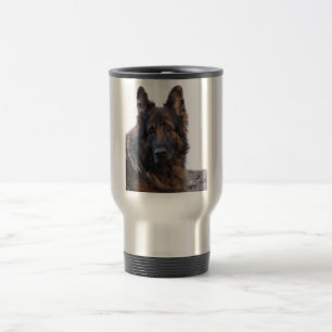 -German Shepherd Dog Reisbeker