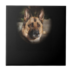 German Shepherd Dog Tegeltje