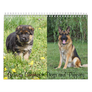 German Shepherd Dogs and Puppies Calendar Kalender