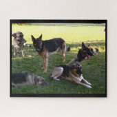GERMAN SHEPHERD DOGS puzzel (Horizontaal)