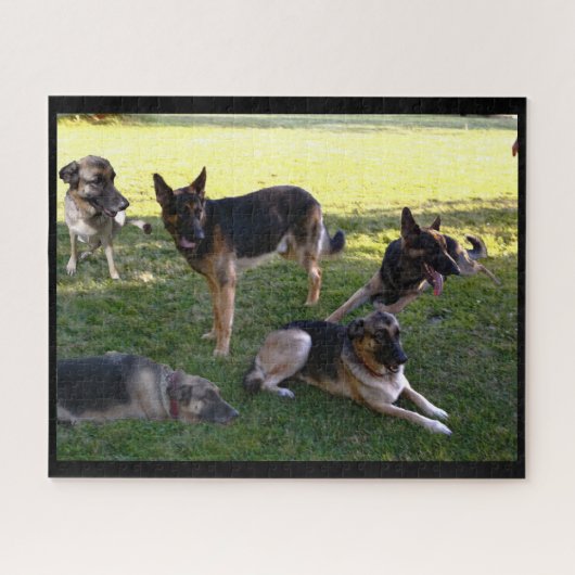 GERMAN SHEPHERD DOGS puzzel (Horizontaal)