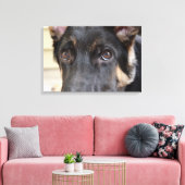 German Shepherd door Shirley Taylor Canvas Afdruk (Insitu (Woonkamer))