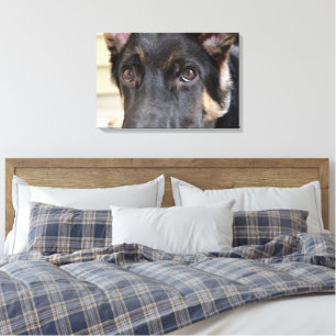 German Shepherd door Shirley Taylor Canvas Afdruk