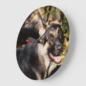 German Shepherd door Shirley Taylor Grote Klok (Hoek)