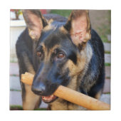 German Shepherd door Shirley Taylor Tegeltje (Voorkant)