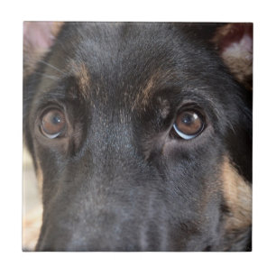 German Shepherd door Shirley Taylor Tegeltje