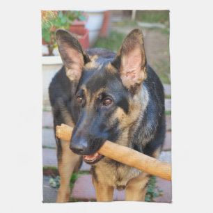 German Shepherd door Shirley Taylor Theedoek