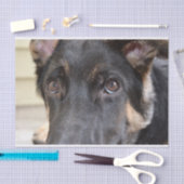 German Shepherd door Shirley Taylor Tissuepapier (Craft)