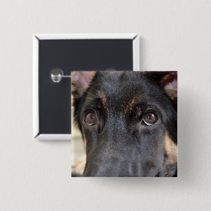 German Shepherd door Shirley Taylor Vierkante Button 5,1 Cm