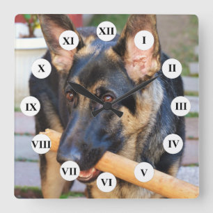 German Shepherd door Shirley Taylor Vierkante Klok