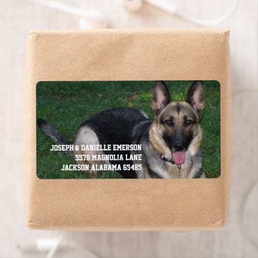 German Shepherd Etiket (Insitu)