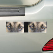 German Shepherd Eyes Bumpersticker (Op auto)