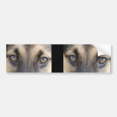 German Shepherd Eyes Bumpersticker (Voorkant)