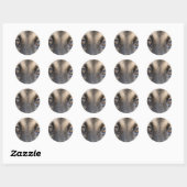 German Shepherd Eyes Ronde Sticker (Vel)
