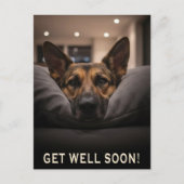 German Shepherd Get Well Postcard Briefkaart (Voorkant)