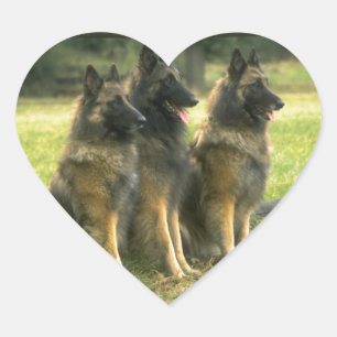 German Shepherd Gifts Hart Sticker